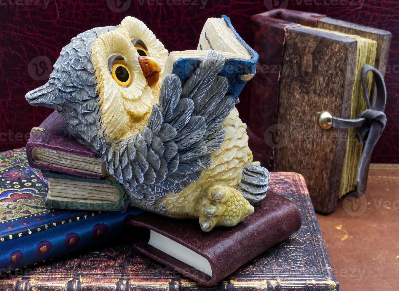 Cute winter owl figurine reading an old book. photo