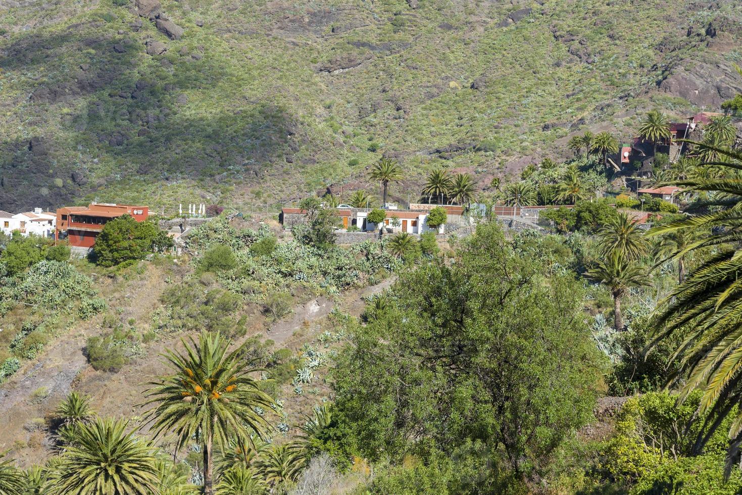 Houses on a hill near the musk gorge on the island of Tenerife. photo