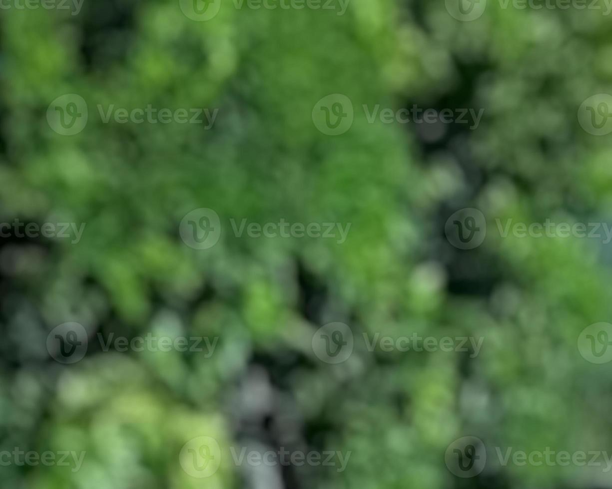 abstract green blur background photo