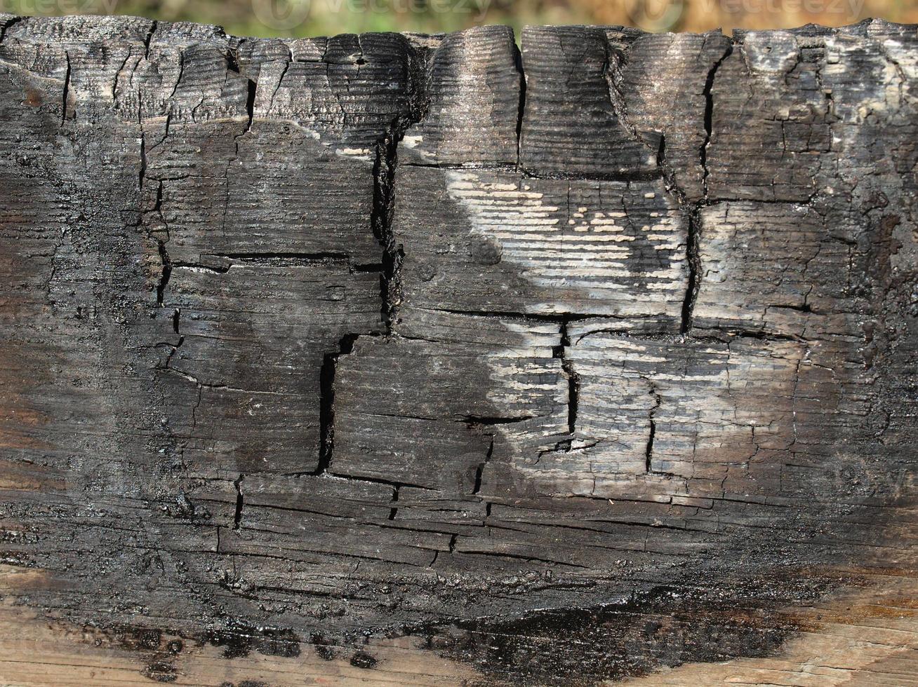 Burned wood texture photo