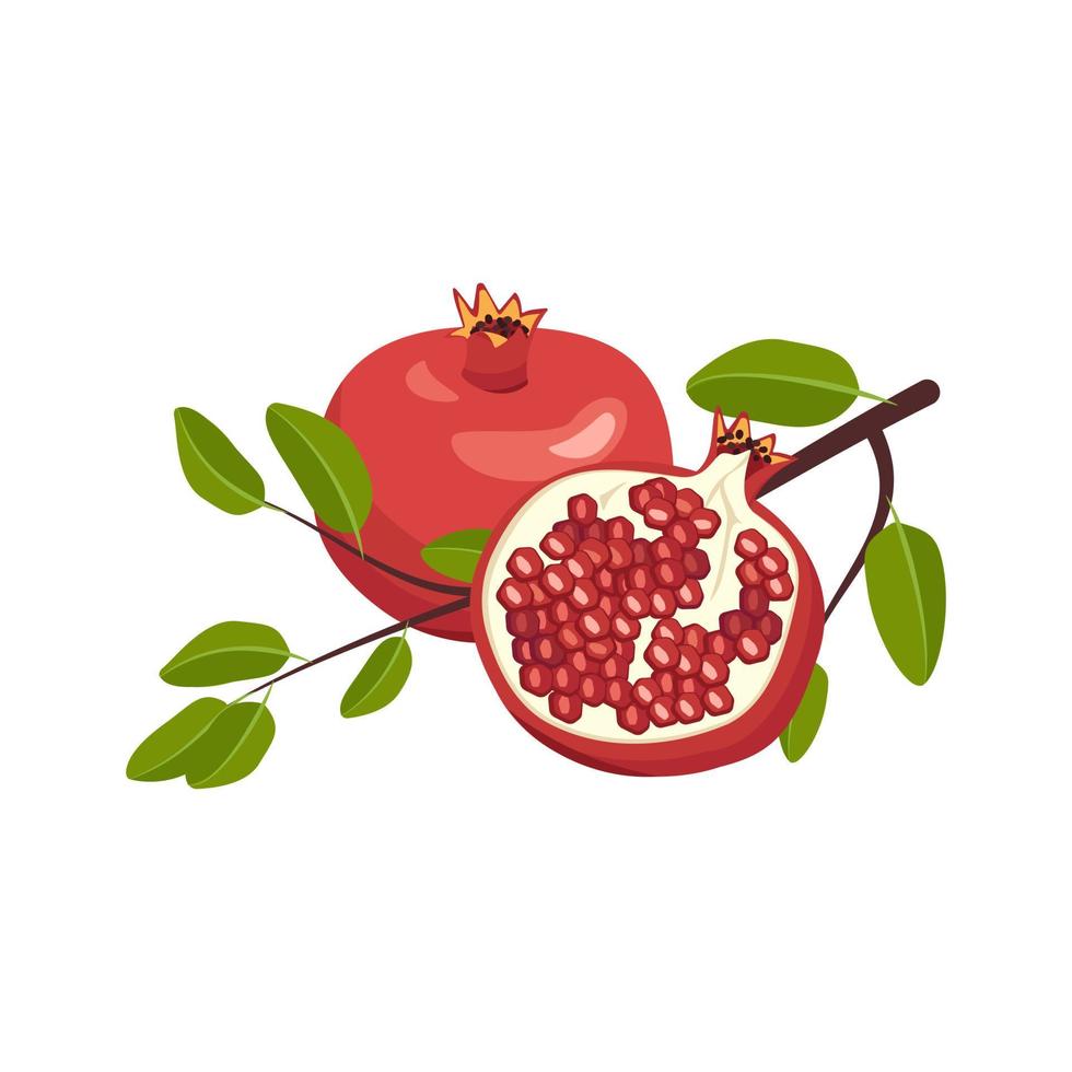 Icon of whole and half red pomegranate with seeds and branch with leaves. Healthy fruits for proper nutrition. Sweet food for diet. Vector flat illustration