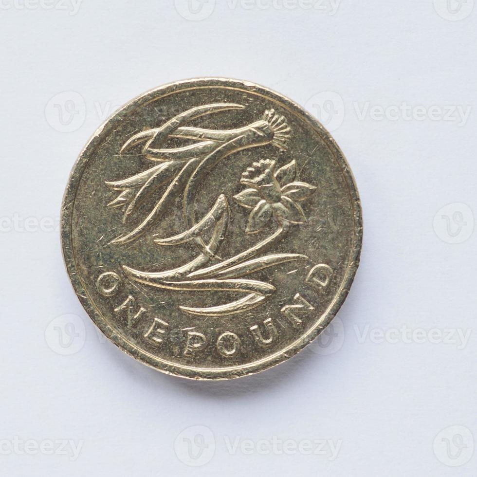 UK 1 Pound coin photo
