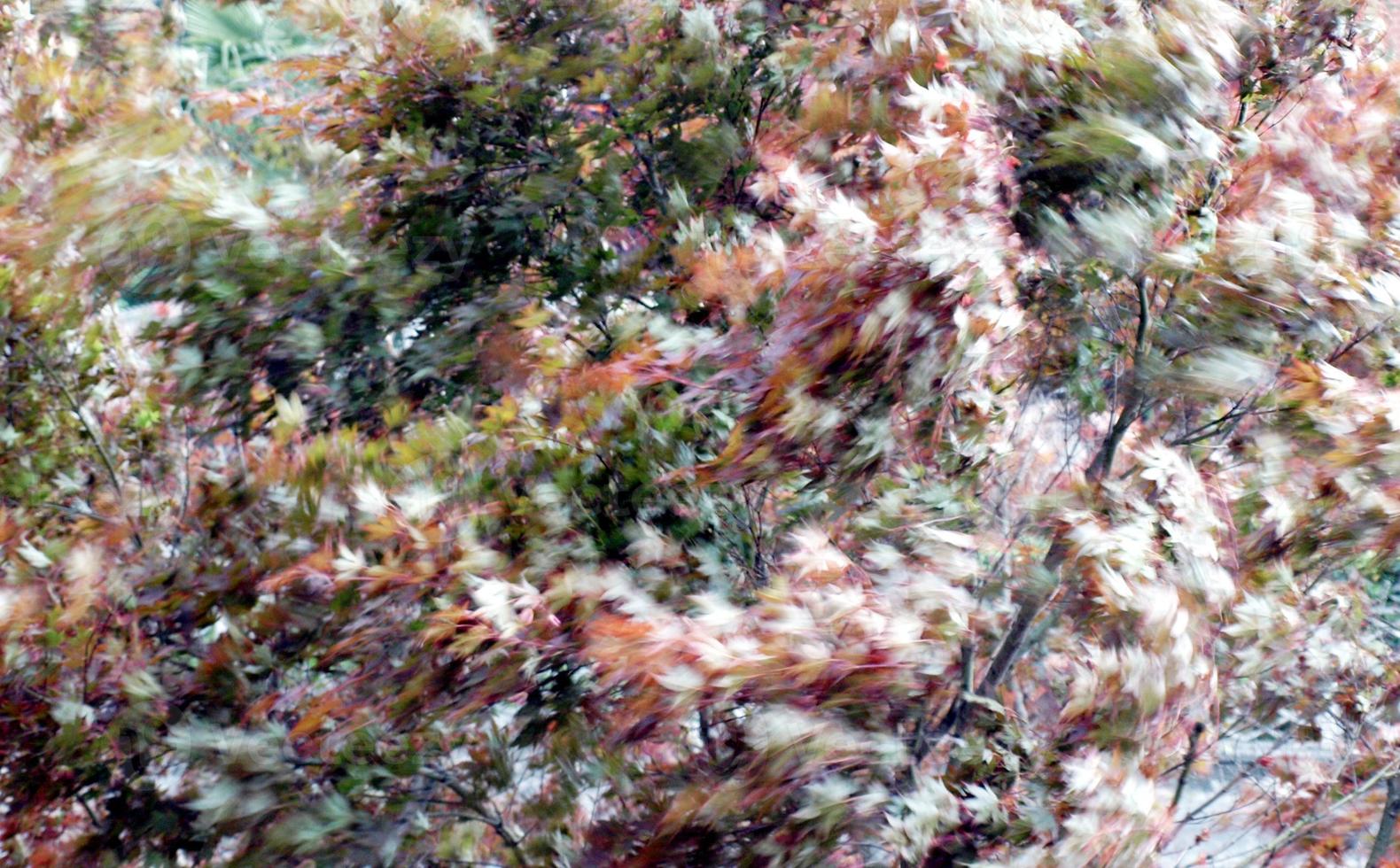 Stormy weather gales photo