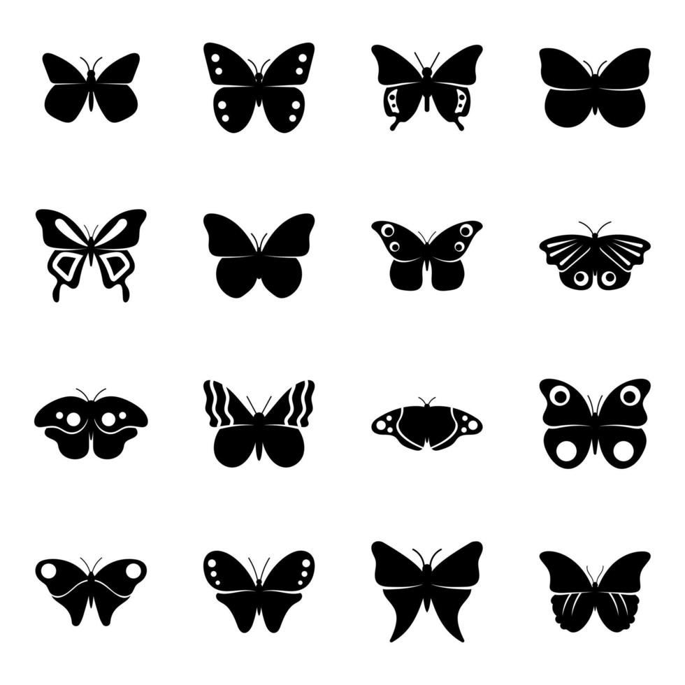 Butterfly Complete Species vector