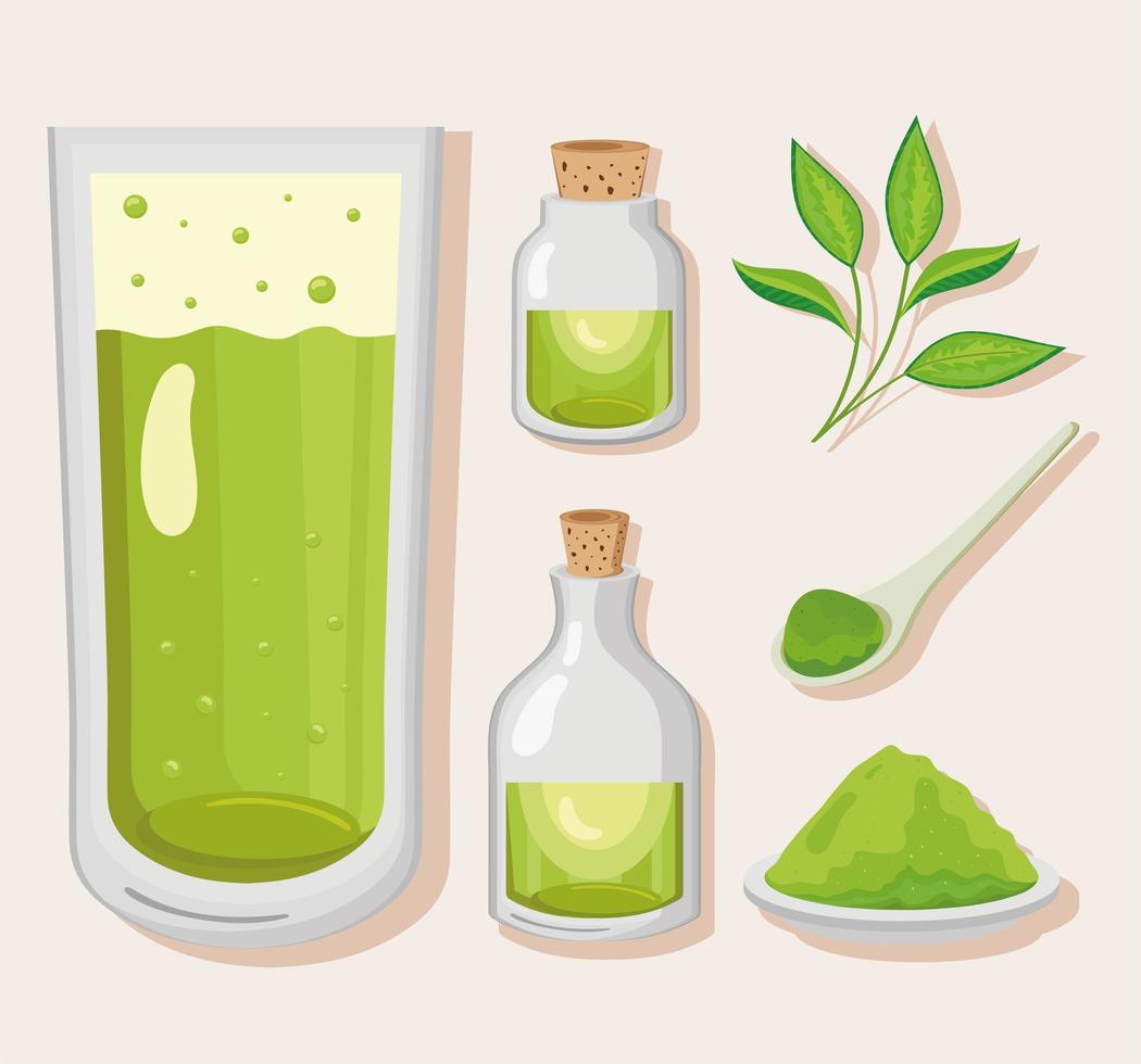 green tea six icons vector