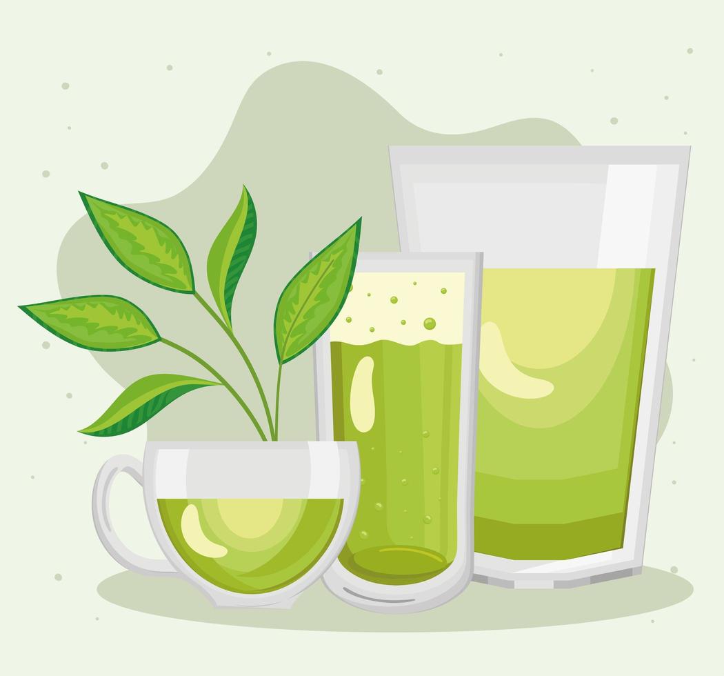 iconos de bebidas de té verde vector