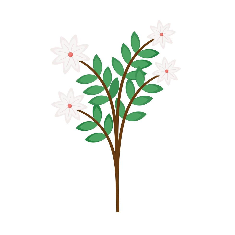 branch with leaves and white flowers vector