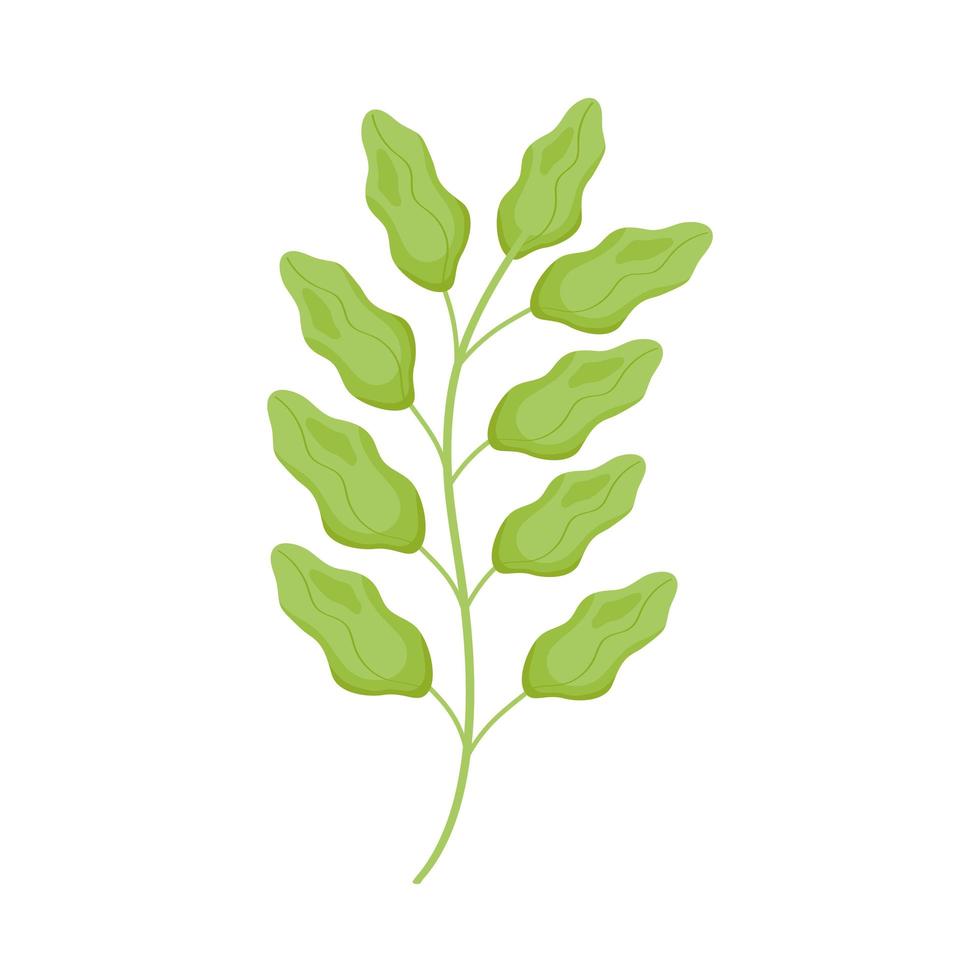 rama con hojas de la naturaleza vector