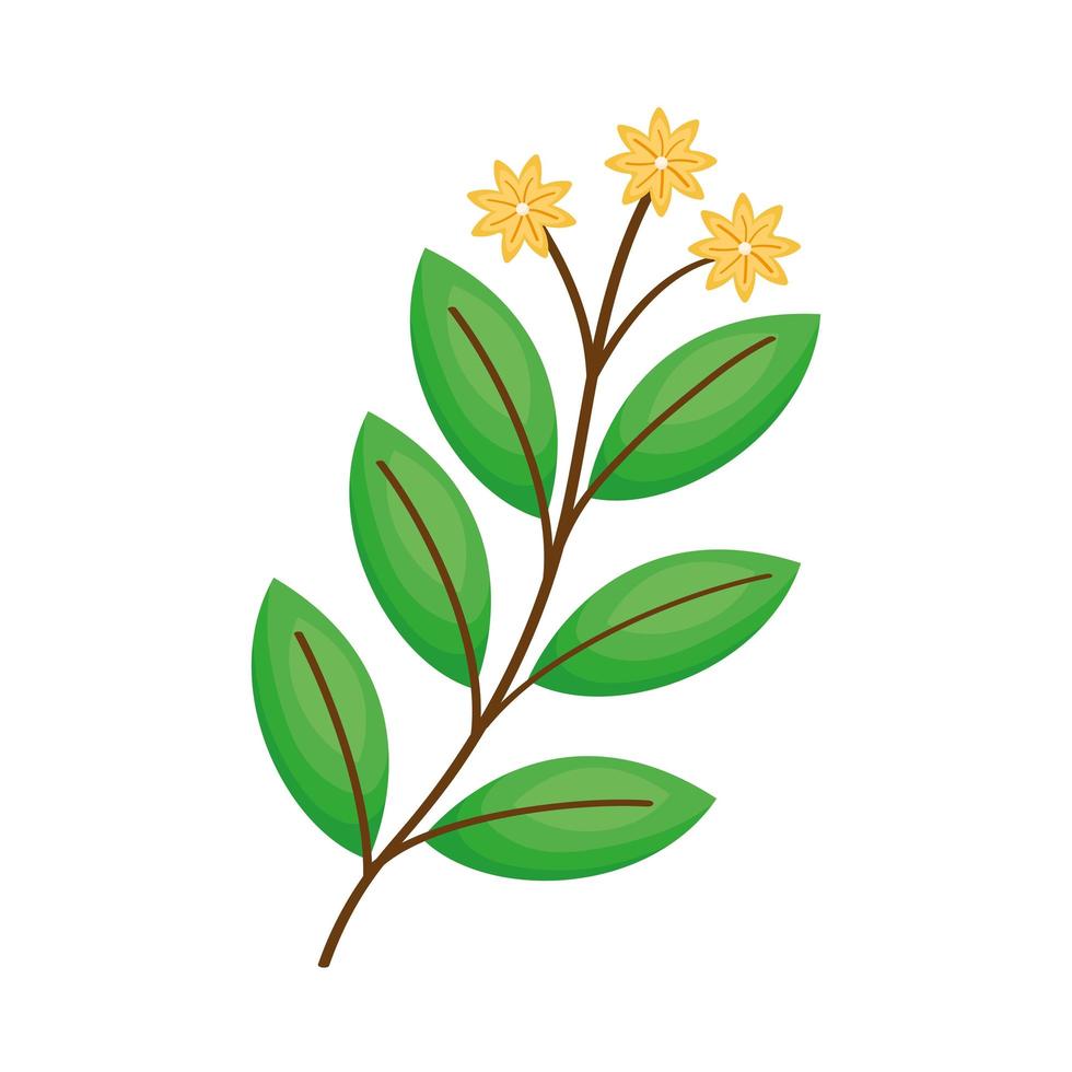 branch with leaves and yellow flowers vector