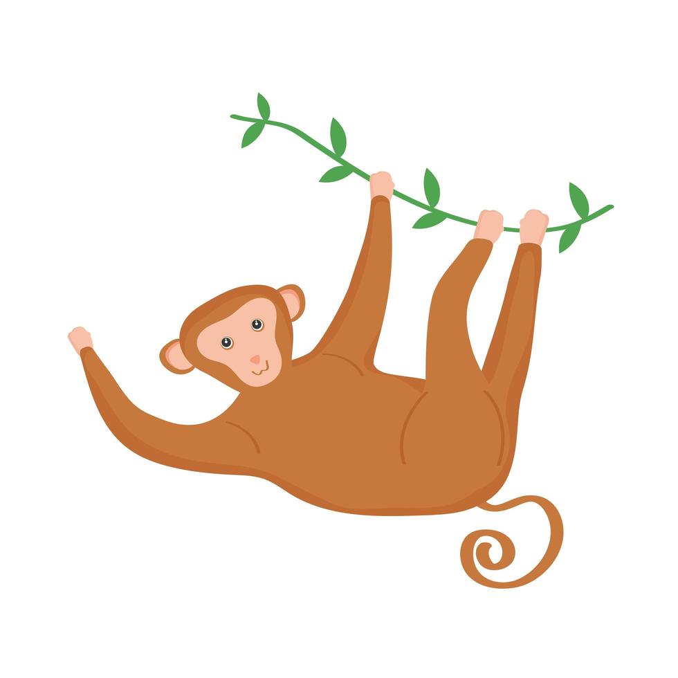 monkey exotic animal vector