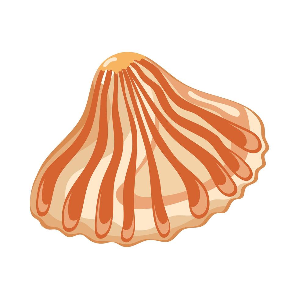 orange sea shell vector