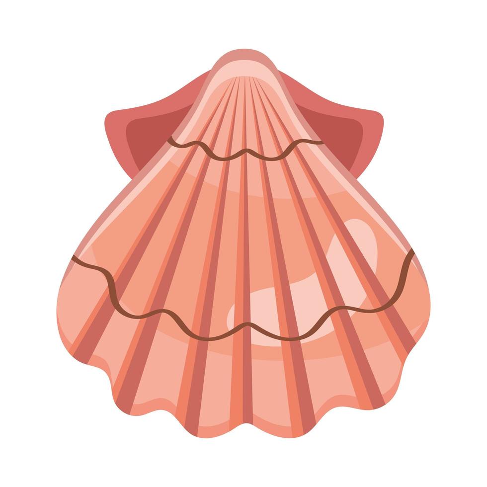 red sea shell vector