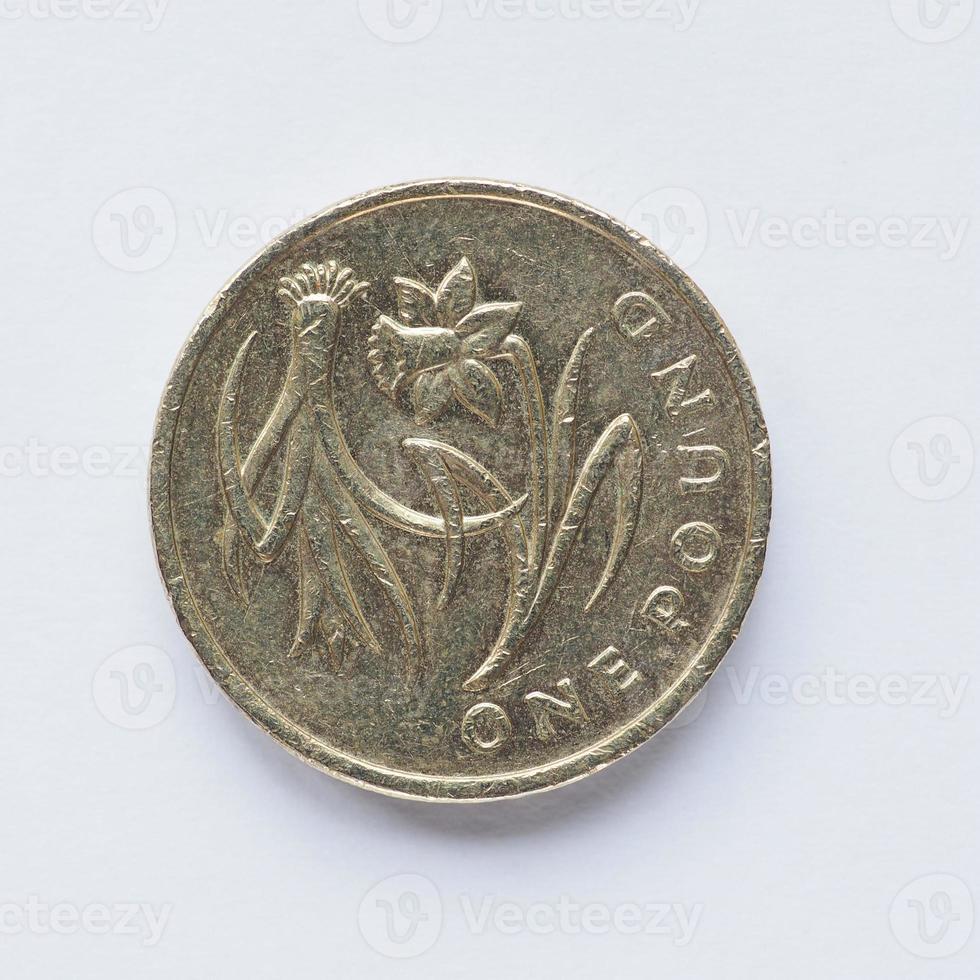 UK 1 Pound coin photo