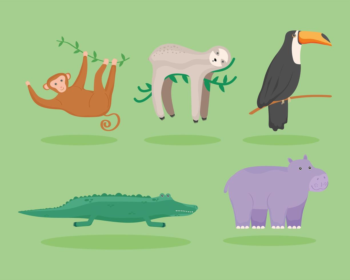 exotic animals of wildlife vector