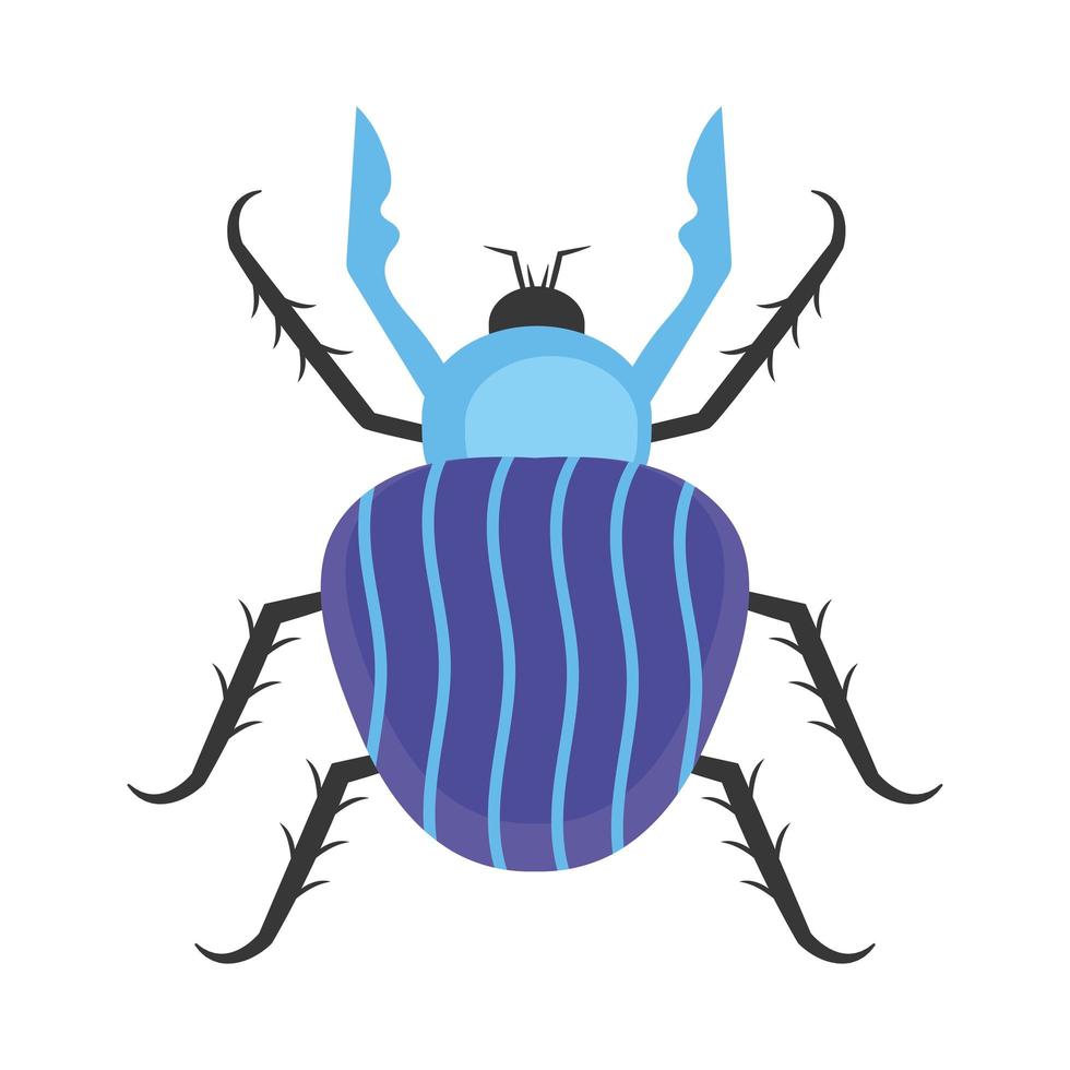 beetle insect scandinavian vector