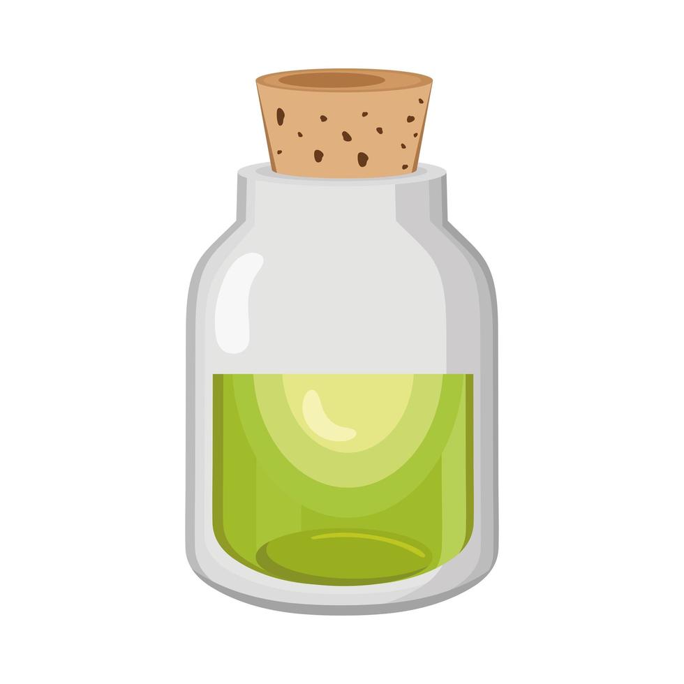 green tea jar vector