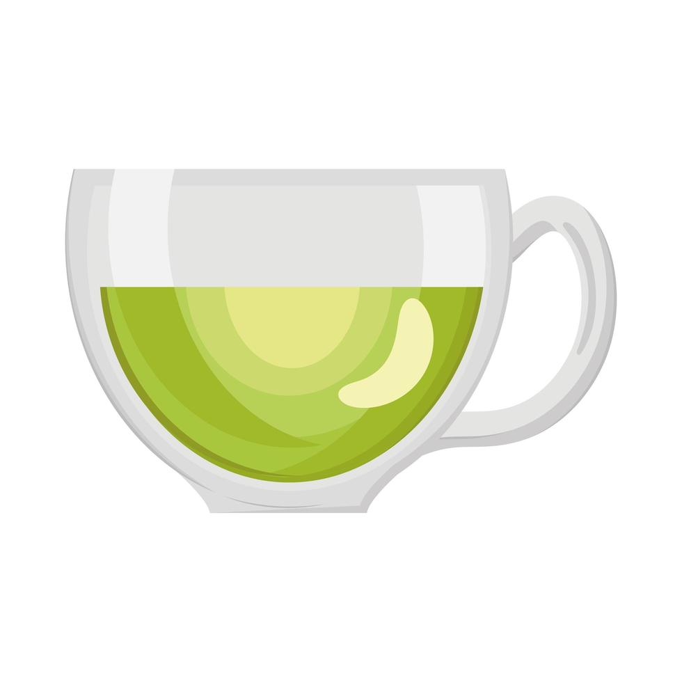 green tea cup vector