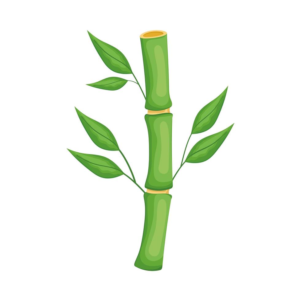 chinese bamboo plant vector