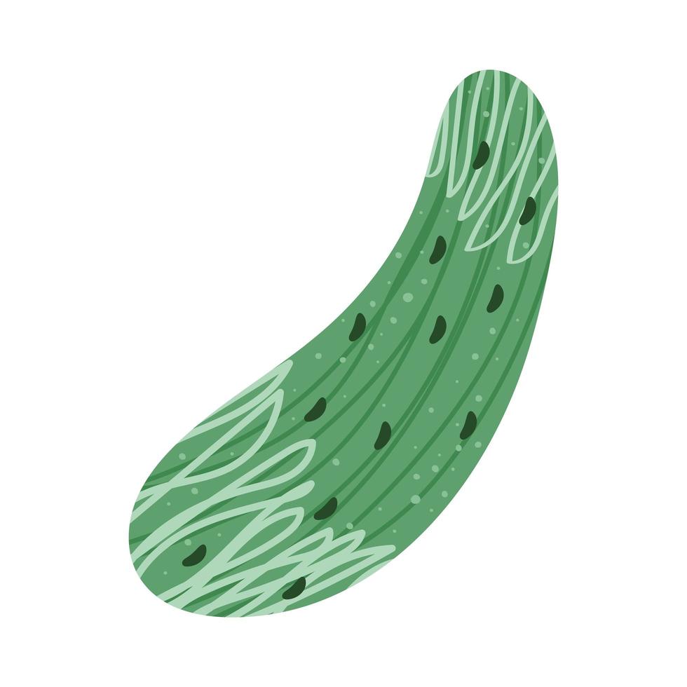 fresh cucumber vegetable vector