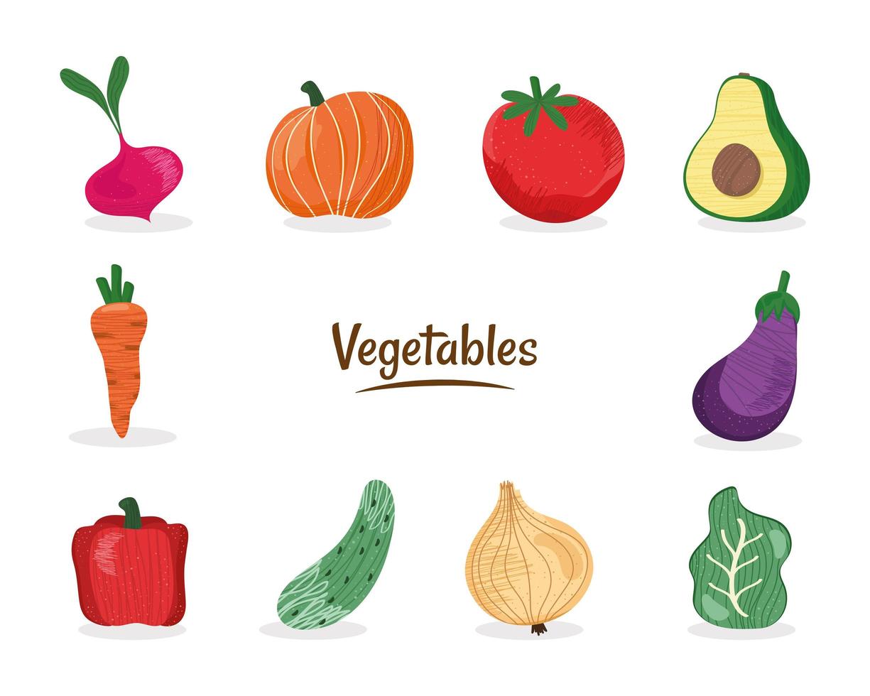 diez iconos de verduras frescas vector