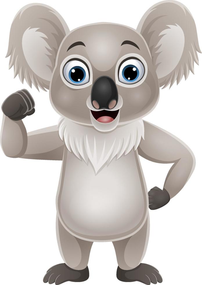 caricatura, fuerte, pequeño, koala, aislado, blanco, plano de fondo vector