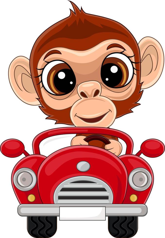 Cartoon baby monkey driving red c vector