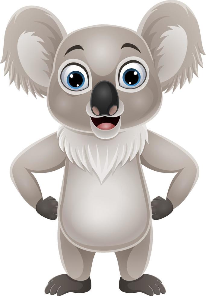 dibujos animados divertido pequeño koala posando vector