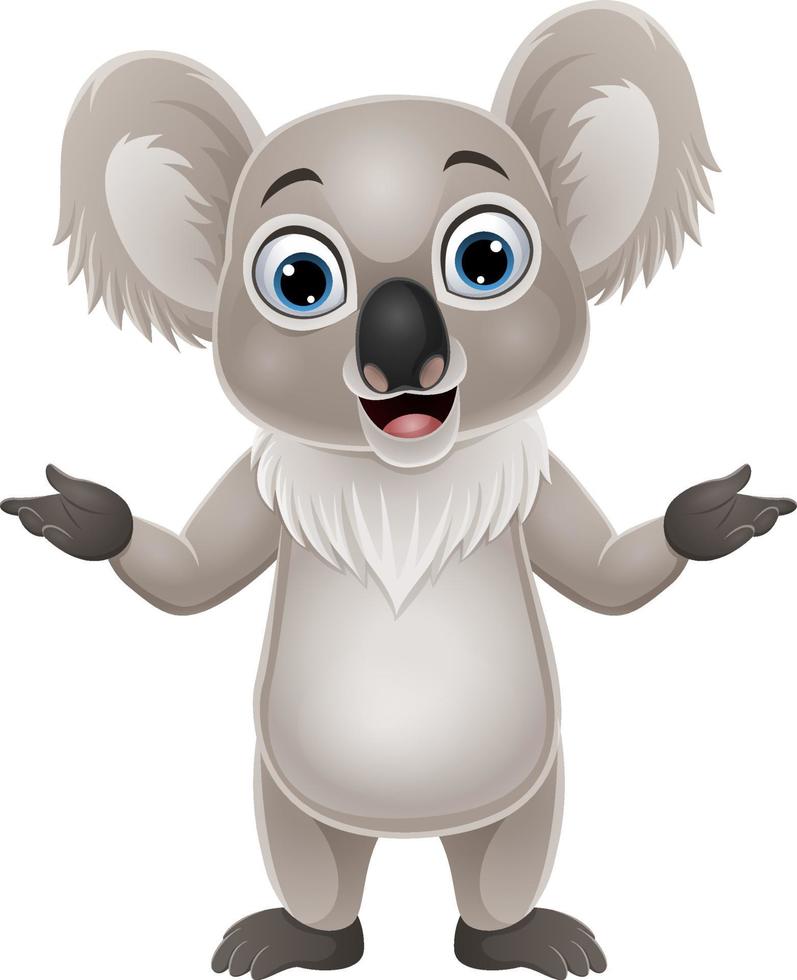 caricatura, feliz, koala, presentación, blanco, plano de fondo vector