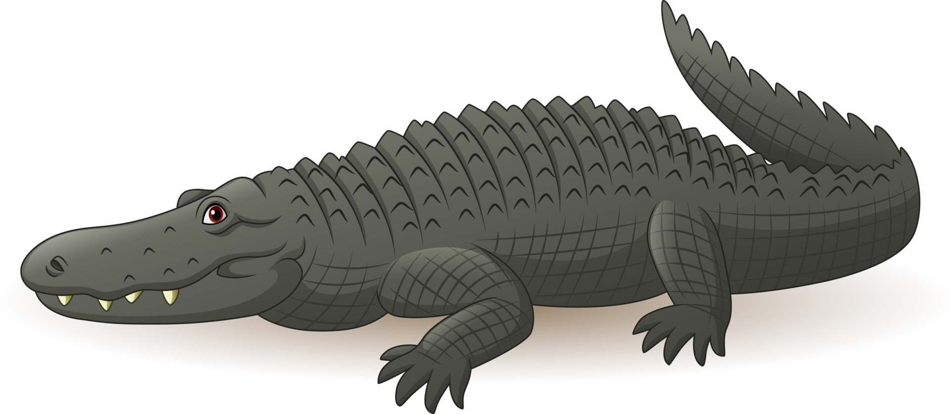 nile crocodile clipart image