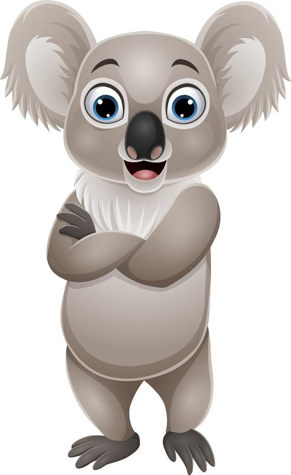 Cartoon funny little koala posing vector