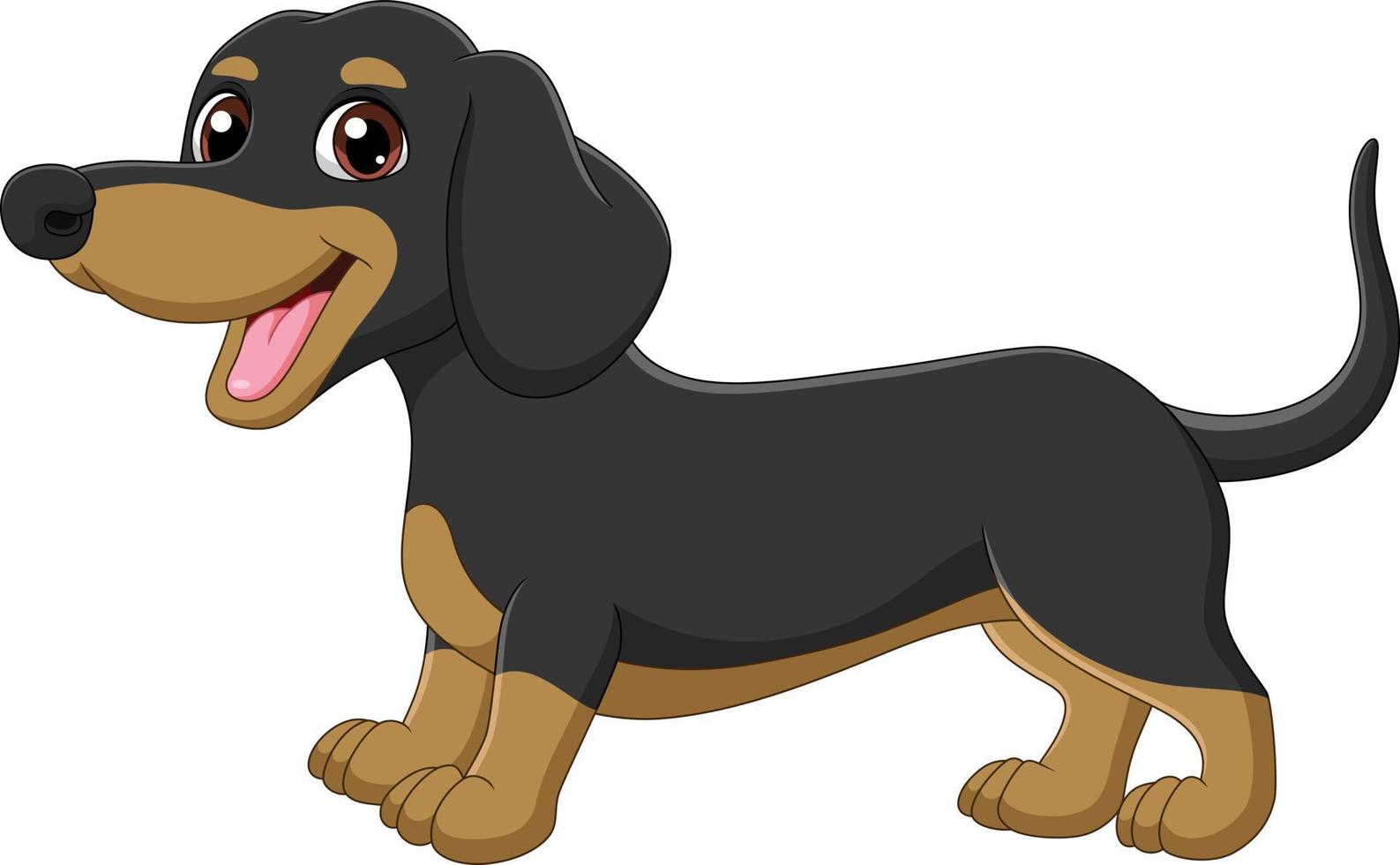 perro salchicha de pura raza divertido de dibujos animados vector