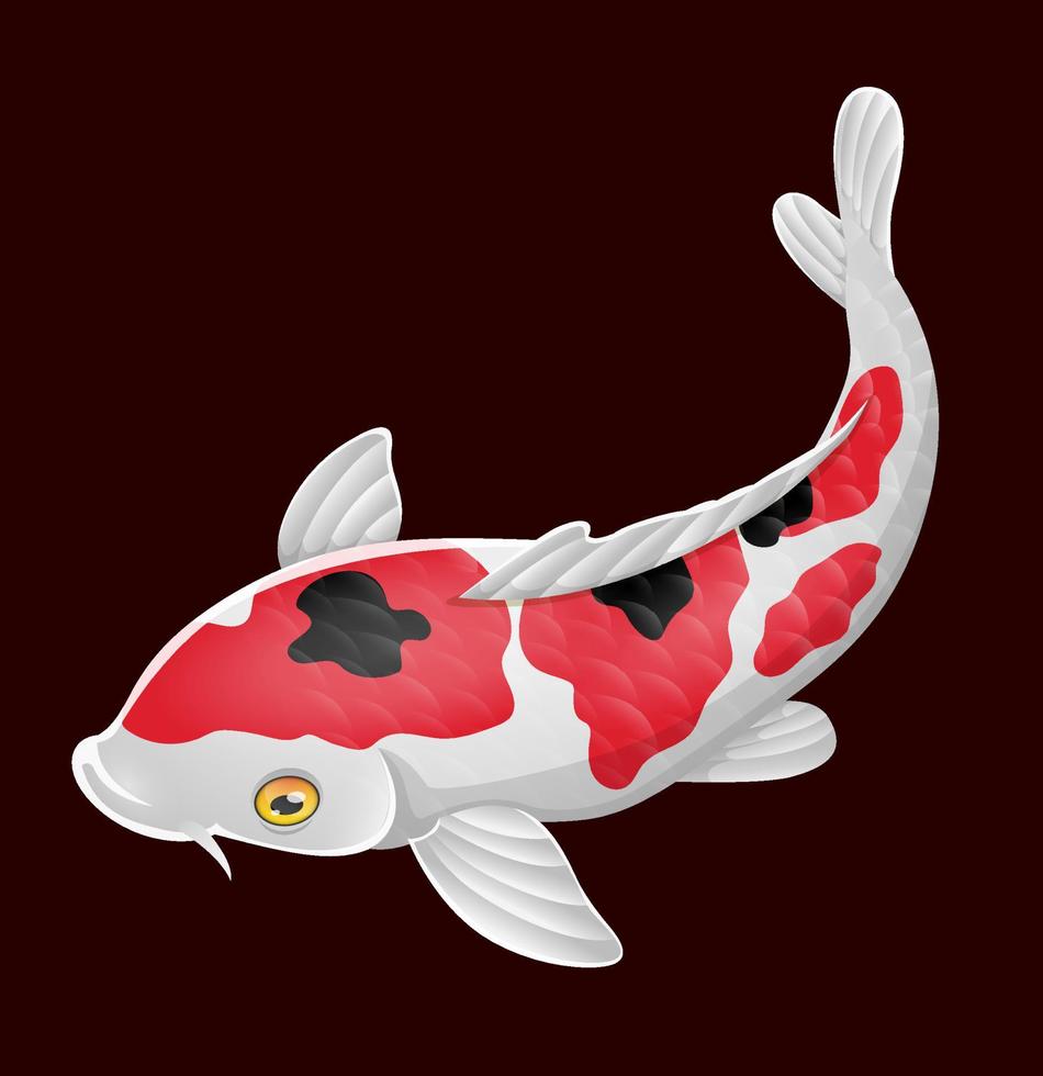 Cartoon cute koi fish on red background vector