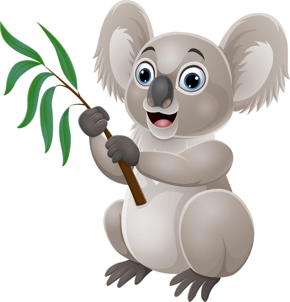 Cartoon koala holding a branch of eucalyptus tree vector