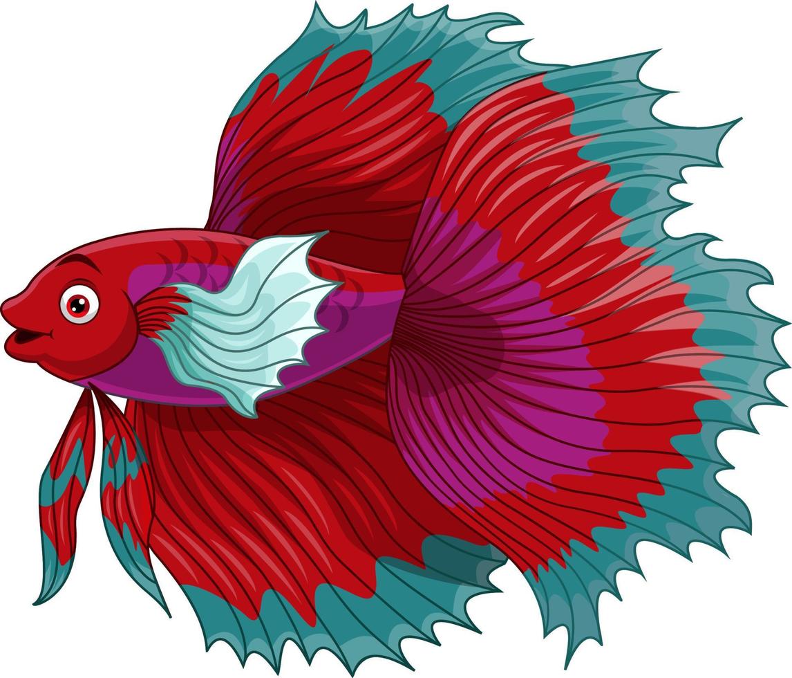 Cartoon red siamese fighting fish vector