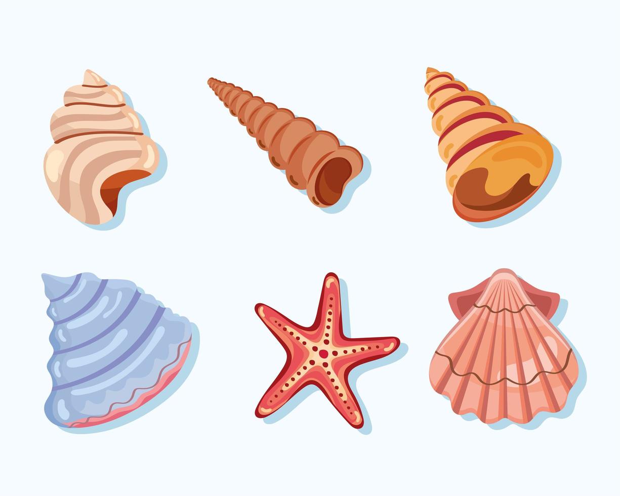 seis iconos de conchas marinas vector