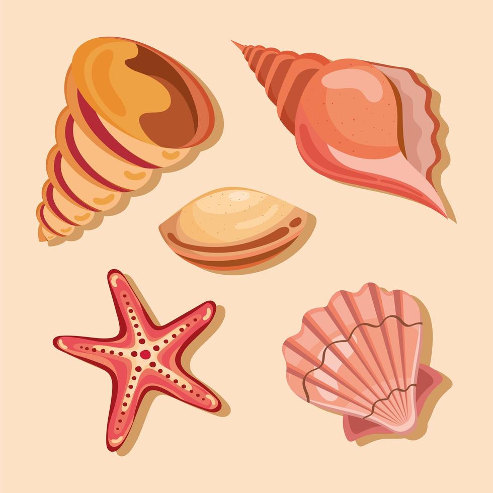 five sea shells icons vector
