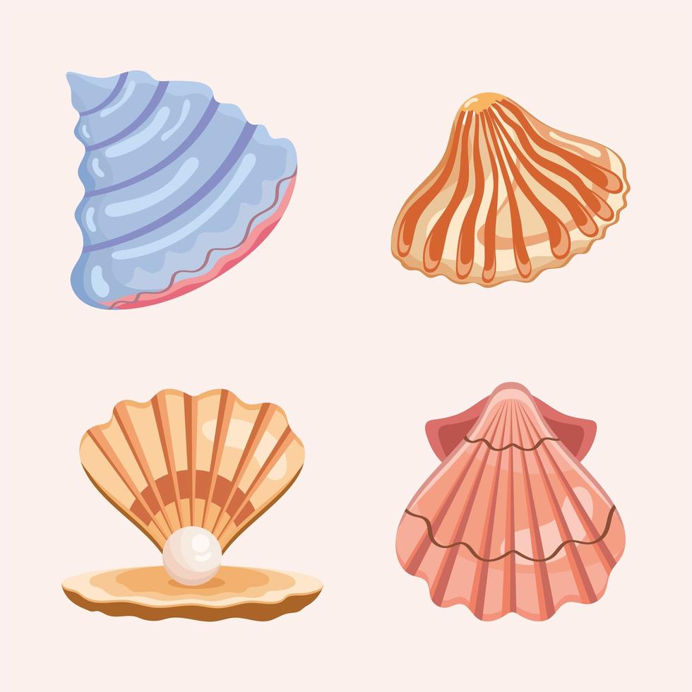 cuatro iconos de conchas marinas vector