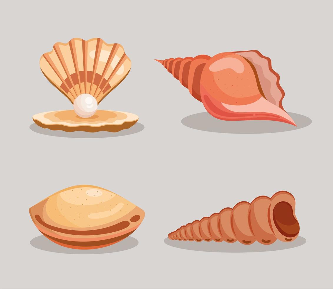conchas de mar cuatro iconos vector