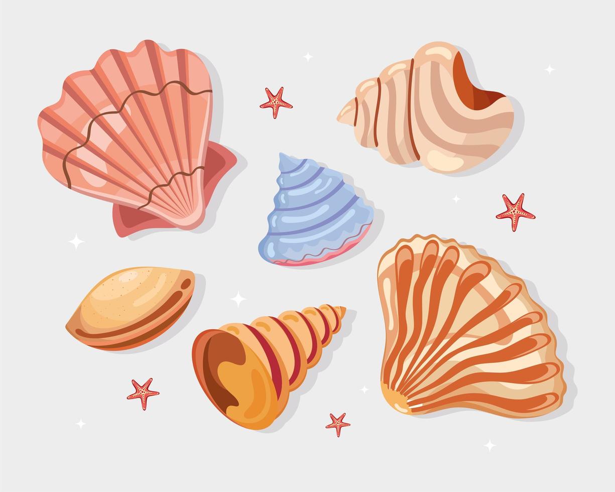 ten sea shells icons vector