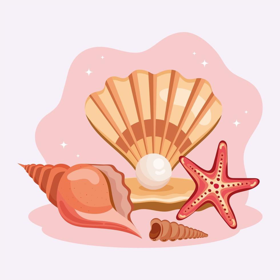 conchas de mar cuatro iconos vector