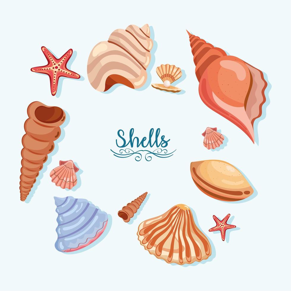 twelve sea shells icons vector