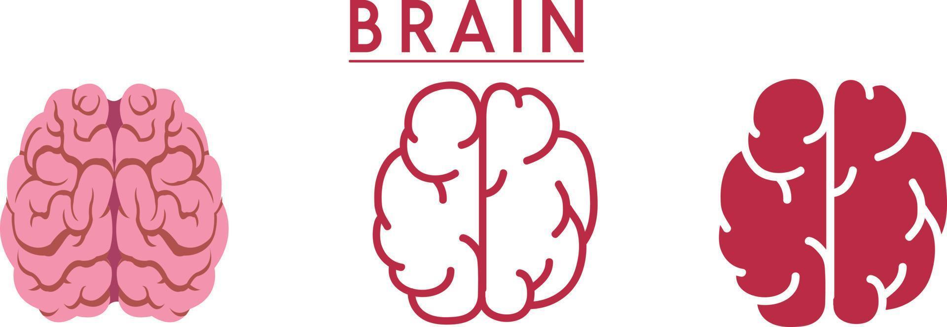 icono y símbolo del cerebro humano vector
