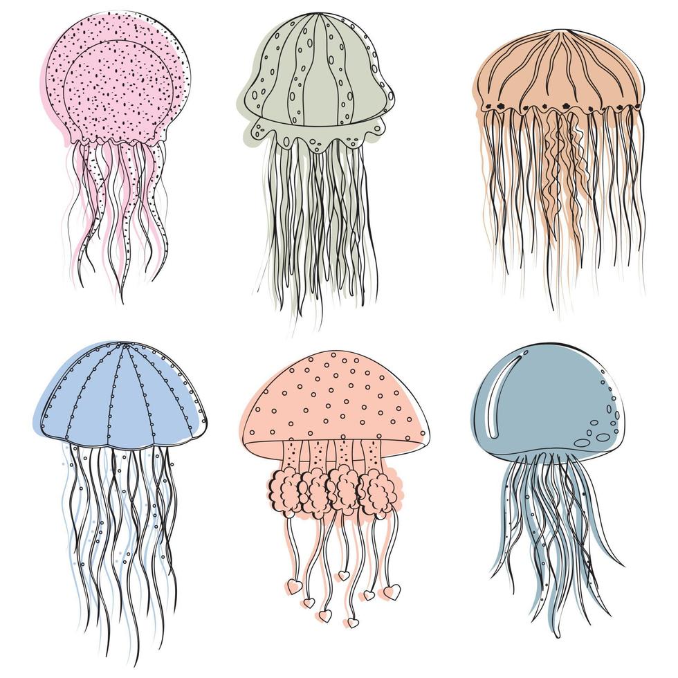 Set of multicolored jellyfish isolated on a white background, color vector illustration