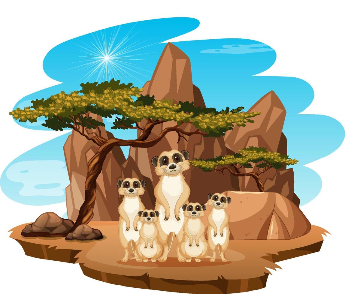 Isolated nature scene with meerkat family vector