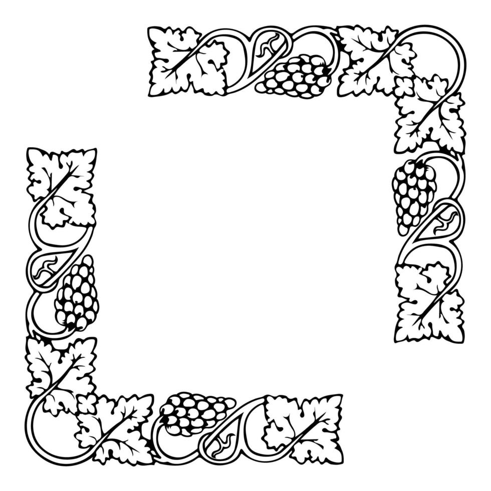 Grape bunches and leaves frame corners, vector design element. Border of grapevine.