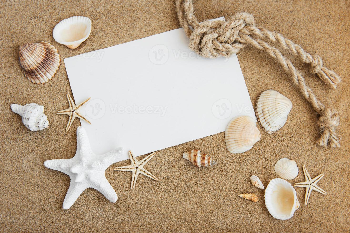 conchas, estrellas de mar y postal en blanco foto