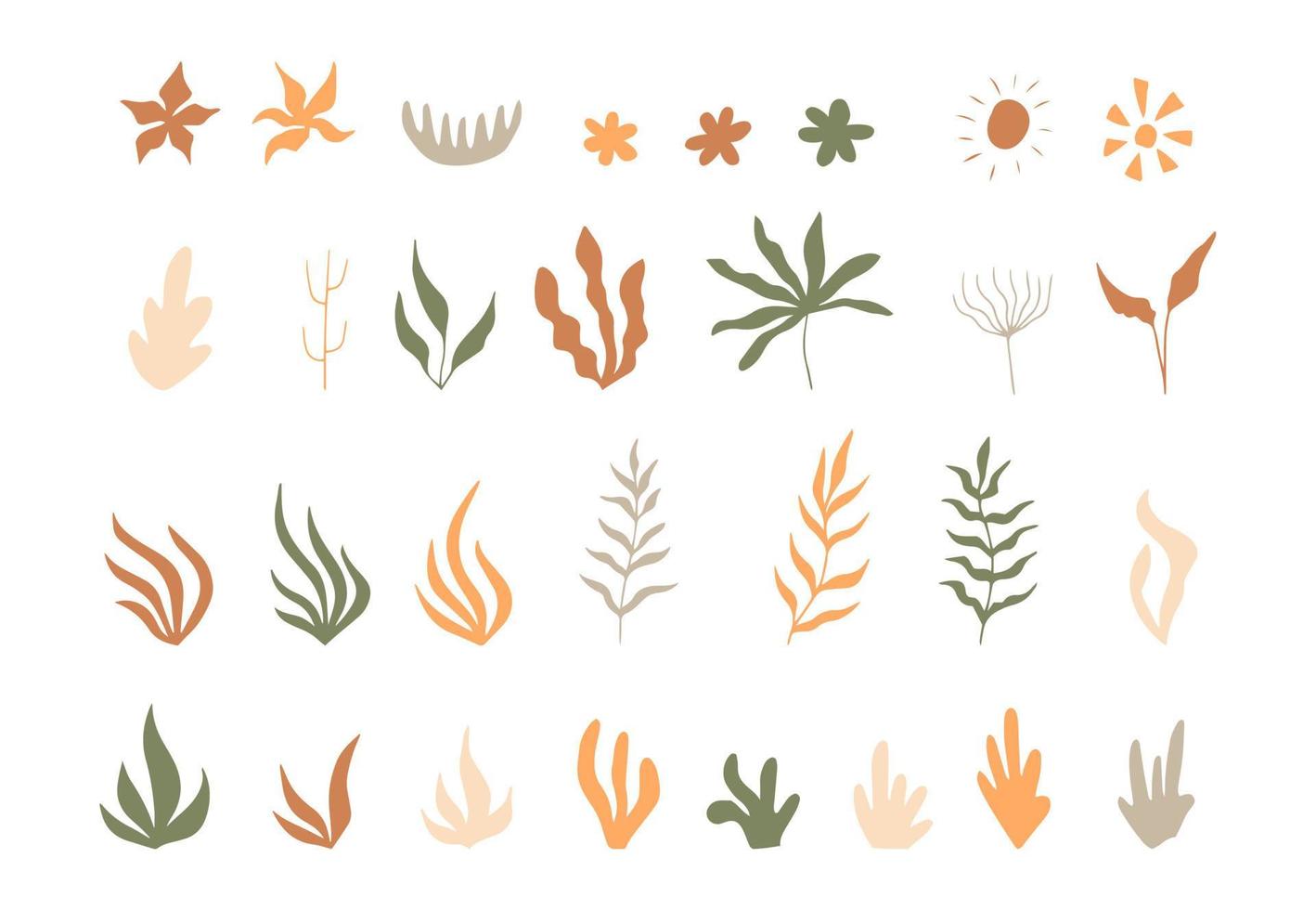 Hand drawn plants trendy design, big set boho style. vector