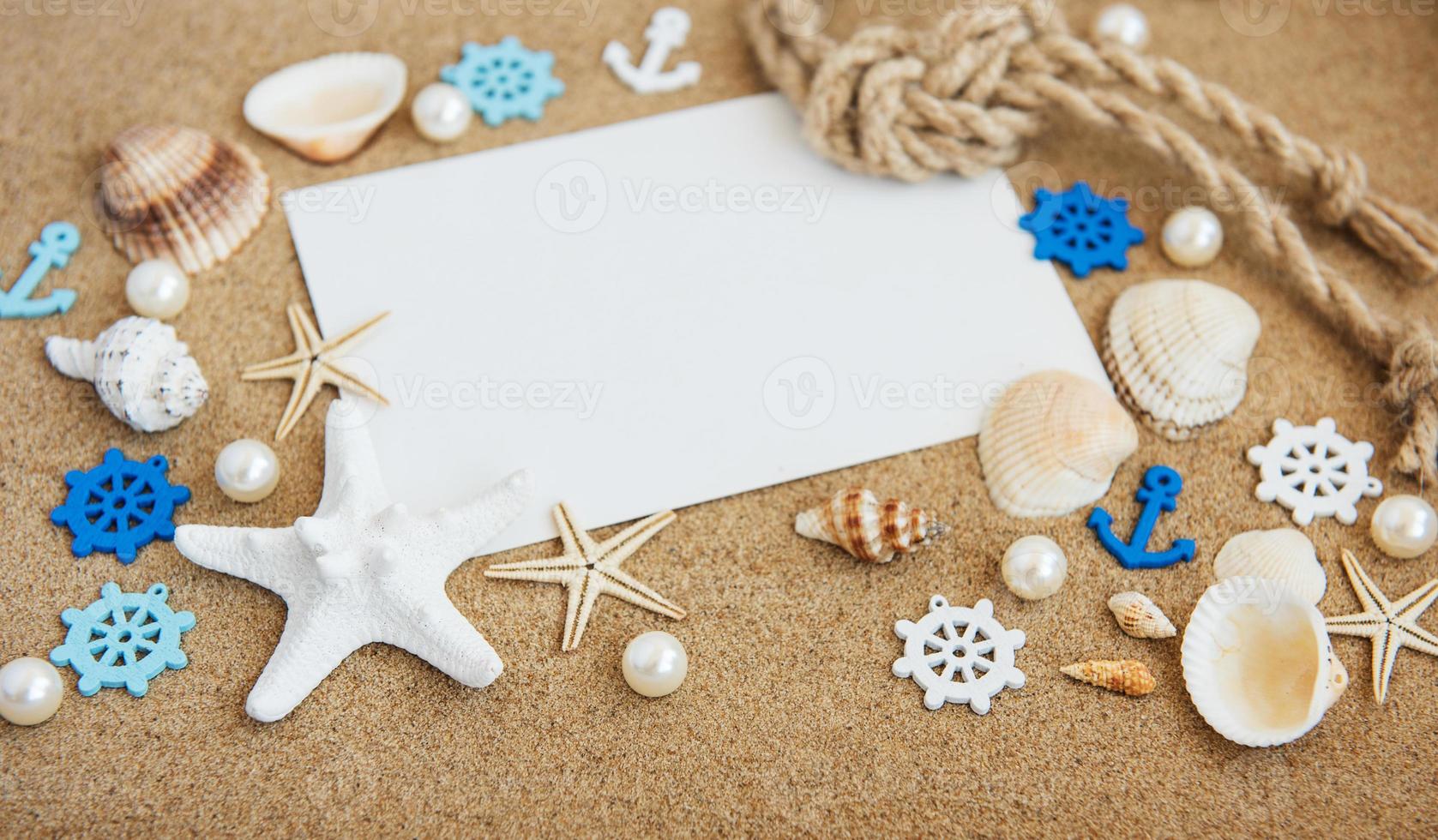 Shells, seastars and  blank postcard photo