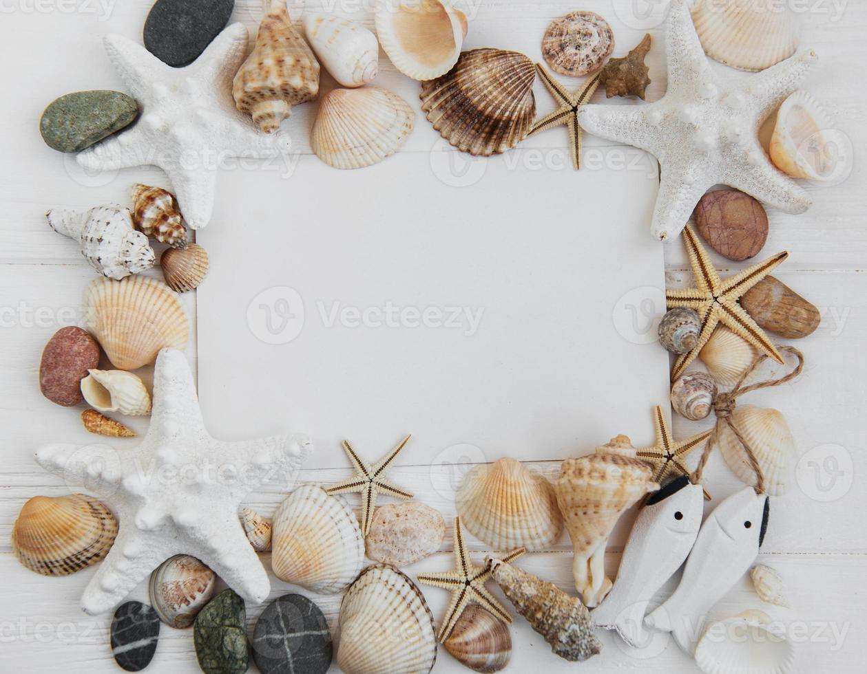 conchas, estrellas de mar y una postal en blanco foto