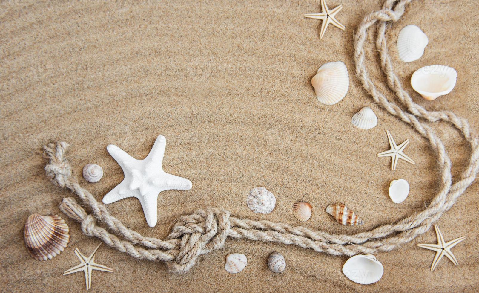 Seashells and sea decorations with rope photo